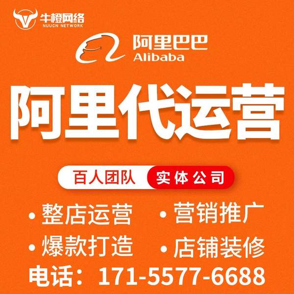 黄石电商代运营