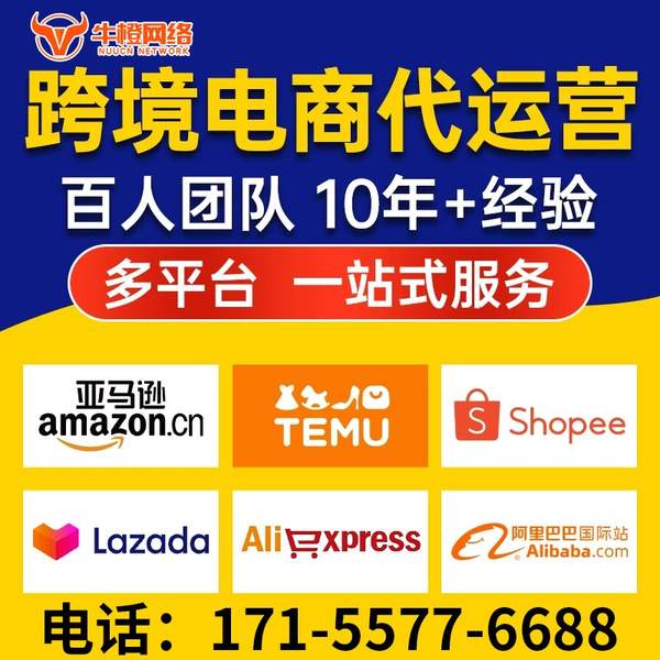 黄石电商代运营