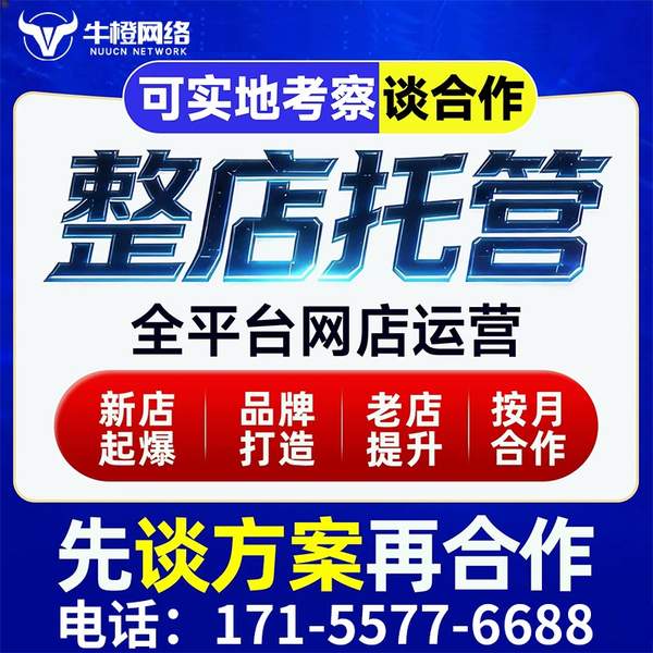 黄石电商代运营