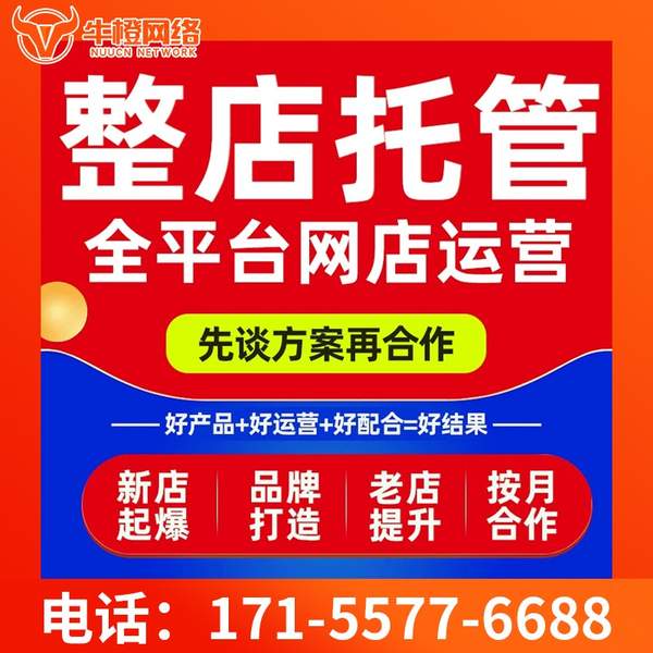 黄石电商代运营
