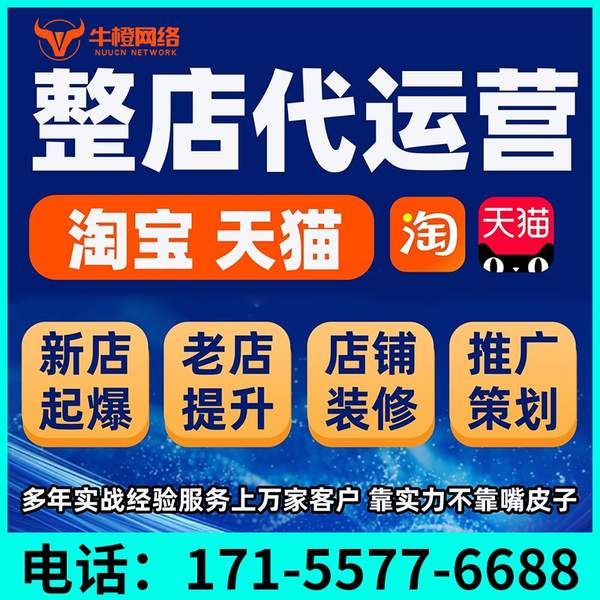 黄石电商代运营