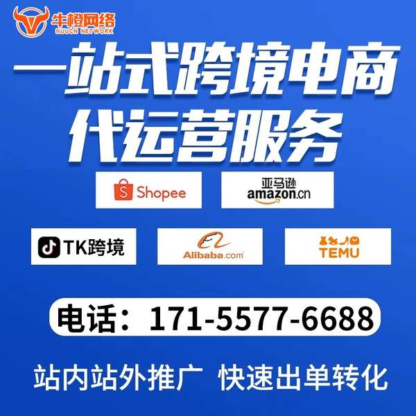 黄石电商代运营