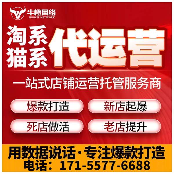 黄石电商代运营